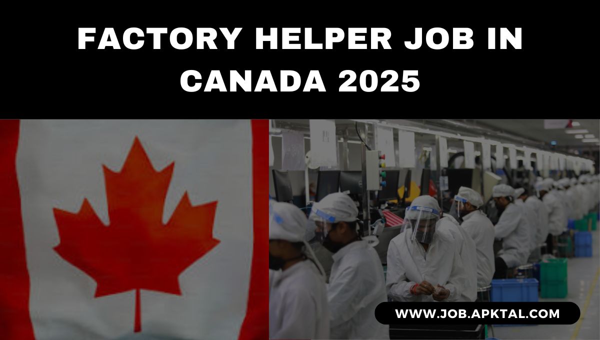 Join the Smack Pet Food Team as a Factory Helper in Winnipeg (2025)