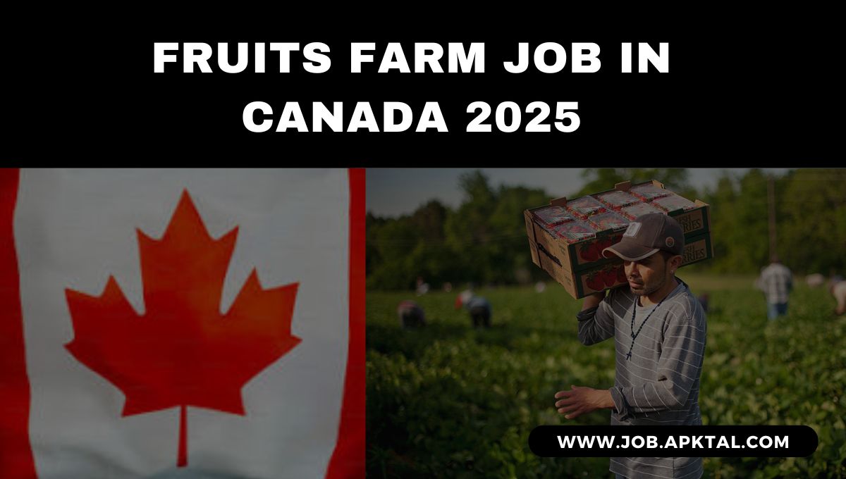 Join The Jealous Fruits Harvest Team In Kelowna' BC – 2025 Season