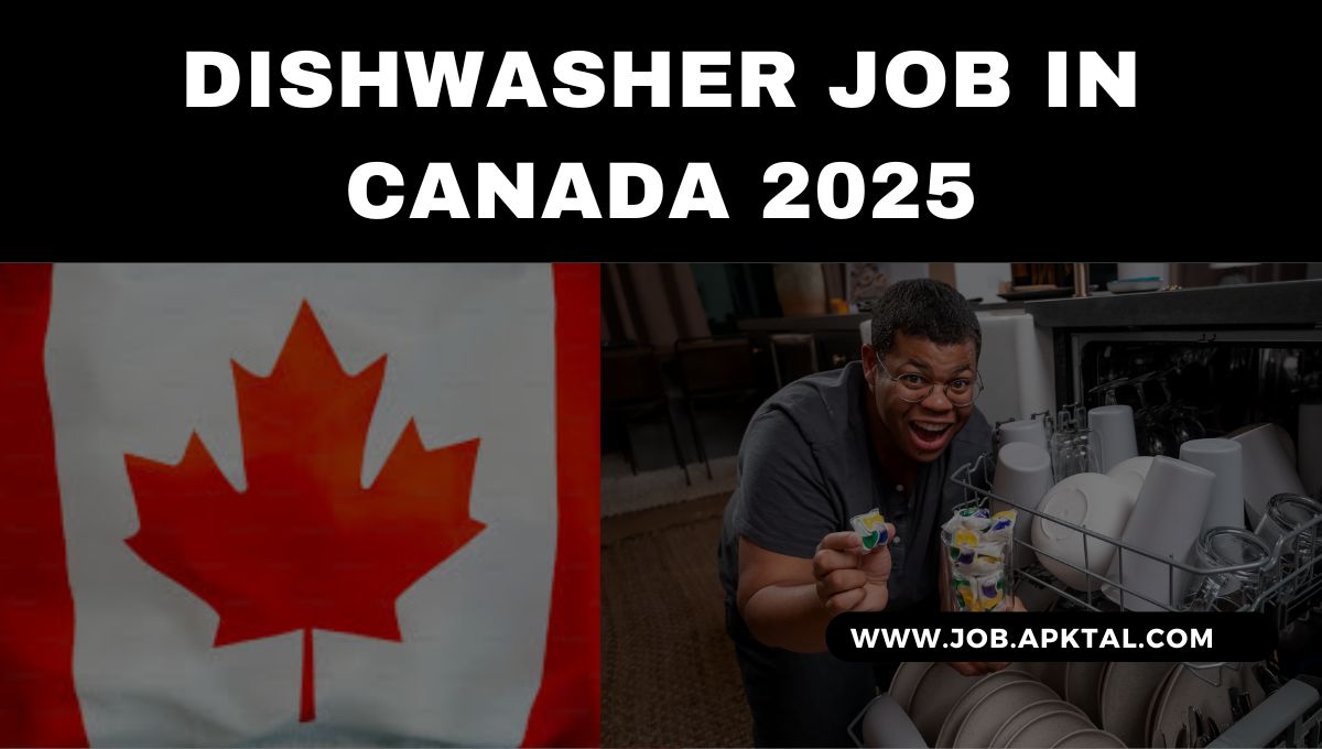 2025 Seasonal Dishwasher Opportunity At Knight Inlet Lodge In Great Bear Rainforest